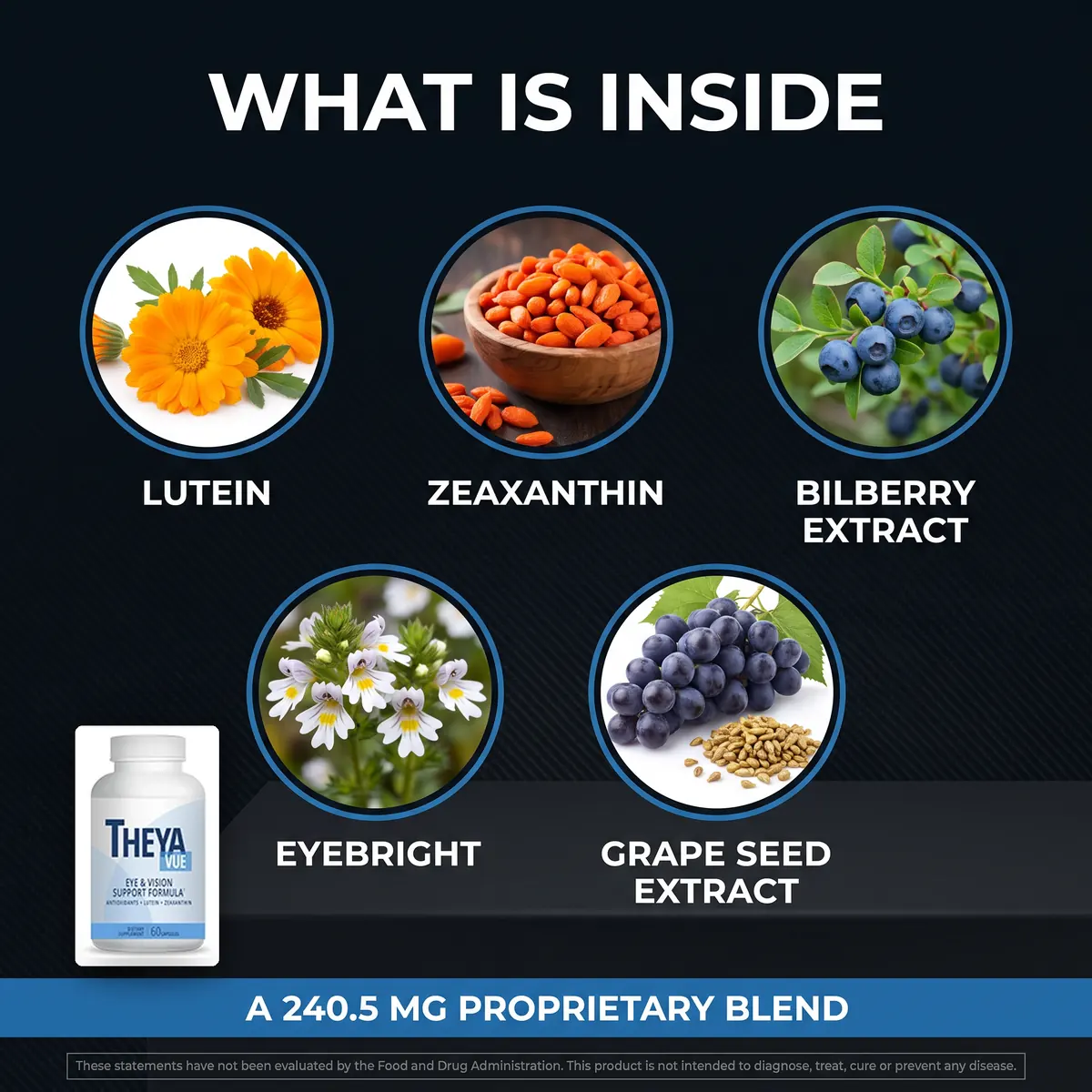 TheyaVue botanical ingredients photographed up close: marigold lutein, goji zeaxanthin, bilberry, eyebright flower and grape seed